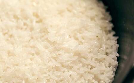【令和7年産】岡山倉敷市産 特別栽培米 ヒノヒカリ 10kg【お米 米 ヒノヒカリ 国産 岡山県 倉敷市 人気 おすすめ】