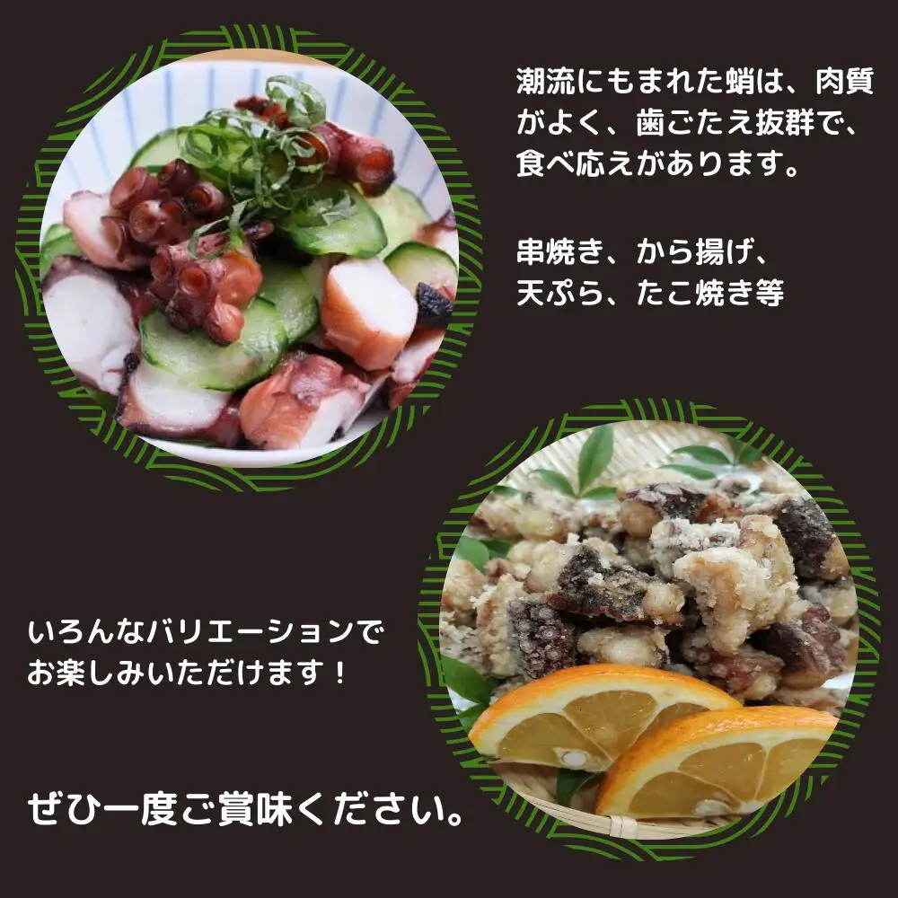 船上活締め！！真ダコボイルぶつ切り(200g×5P) | 豊後高田市 タコ 蛸 たこ