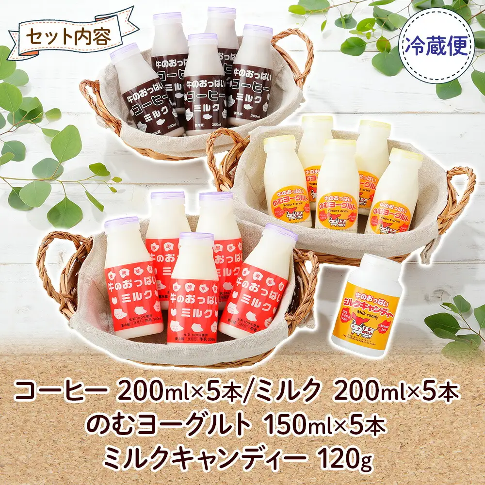 784.牛のおっぱいミルク 5本 コーヒーミルク5本 のむヨーグルト5本 計15本 おっぱいミルクキャンディー1個 セット 牛乳 生乳 ミルク 牛 酪農 飲料 しぼりたて 珈琲 ヨーグルト 飴 お取り寄せ ギフト gift 渡辺体験牧場 まとめ買い 北海道 弟子屈町
