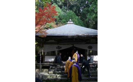 森半 名品銘茶詰め合わせ 高山寺(宇治玉露、宇治煎茶)  お茶 宇治茶 玉露 煎茶 森半 名品銘柄 詰合せ セット 贈り物 ギフト 玉露 鳳紋 煎茶 白上の峰 高級玉露 高級煎茶 宇治小倉 本茶 風格 贅沢 京都府 木津川市 おちゃ 茶 宇治 茶 銘茶　025-02
