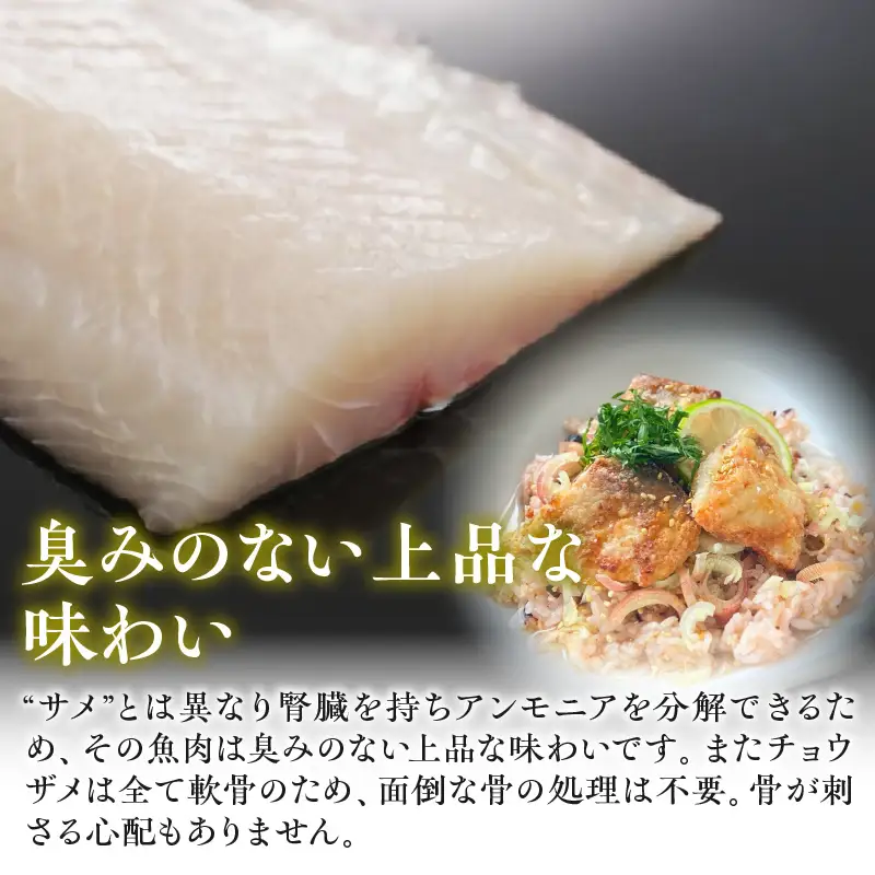 宮崎県産チョウザメの切り身70g×8パックセット 国産 宮崎県産 チョウザメ 切り身 切身 70g 8パック 高タンパク質 タンパク質 魚 冷凍 小分け パック 真空パック 唐揚げ ガーリックソテー