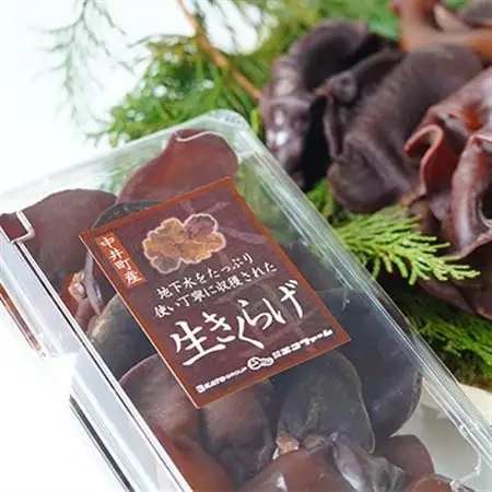 井戸水を使って作られた生きくらげ　約1.2kg(約200g×6p)【配送不可地域：離島】【1139807】