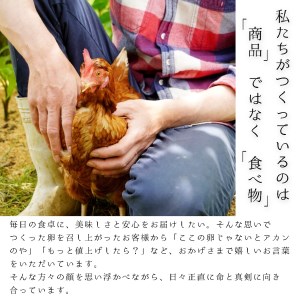 赤岩高原たまご 80～90個入 破損保証10個を含む 卵 赤たまご