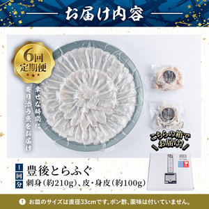 ＜定期便・全6回 (連続)＞ 豊後 とらふぐ 刺身 セット (総量約1.8kg：4-5人前×6回) とらふぐ ふぐ フグ ふぐ刺し フグ刺し ふぐ刺身 フグ刺身 刺身 鮮魚 冷凍 養殖 国産 大分県 佐伯市【AB200】【柳井商店】