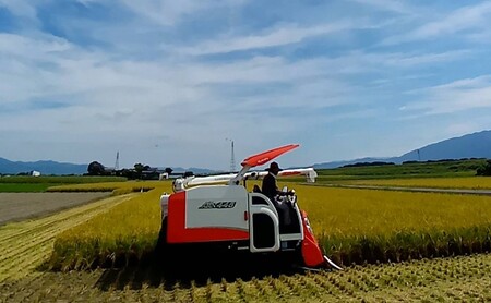 米 5kg 玄米 ゆめつくし お米 