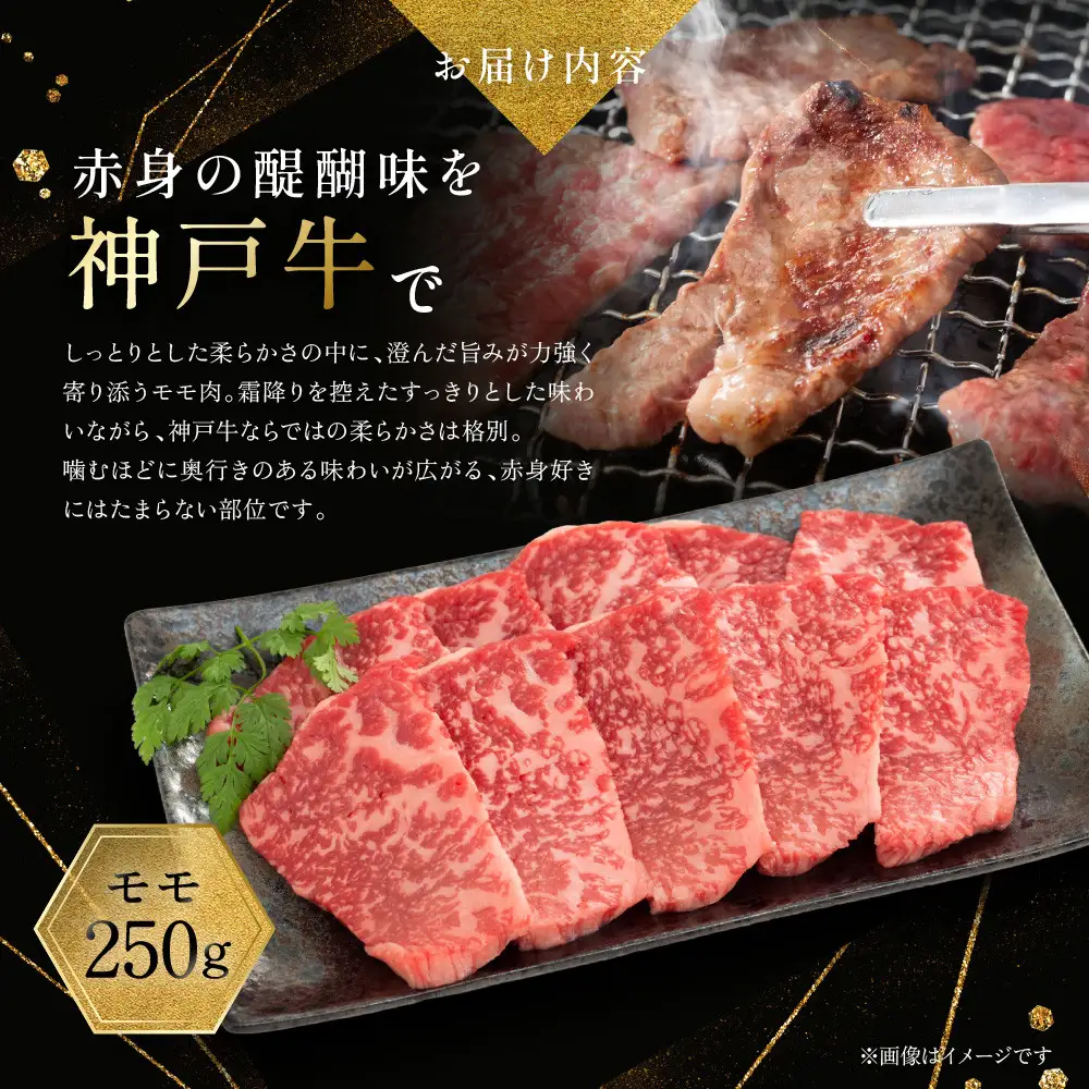 【冷蔵便】神戸牛 焼肉 食べ比べ セット モモ＆カルビ 計500g