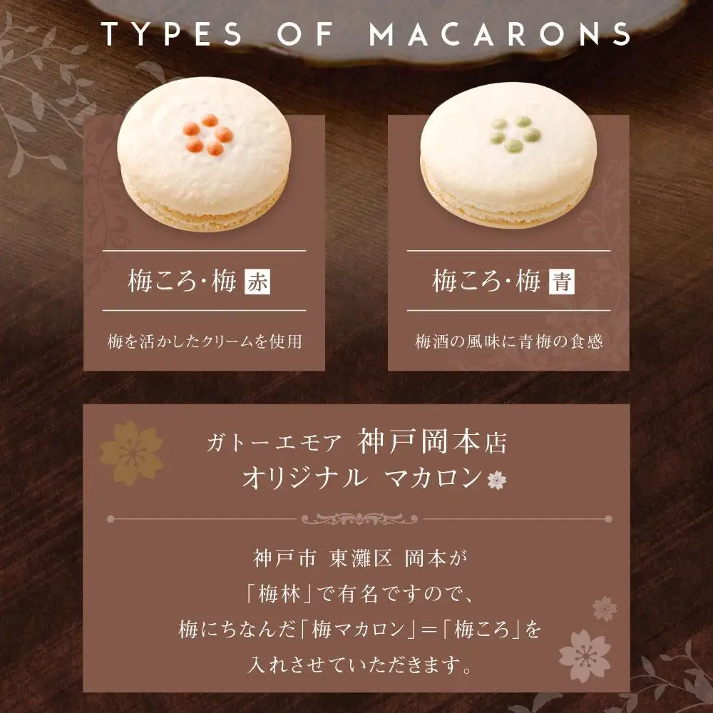 【レオニダス＆ガトーエモア】冷凍しない本場のレシピ　マカロンセット10個入り