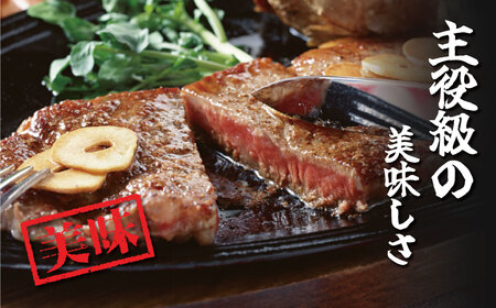 足柄 牛肉 秦野市産足柄牛ロースステーキ 2枚(700g)　 / 国産 足柄牛 神奈川 牛肉 ロース ステーキ かながわブランド 和牛 700ｇ 350ｇ×２枚 国産 冷凍 贅沢 贈り物 お歳暮 お正月 クリスマス 　030-05