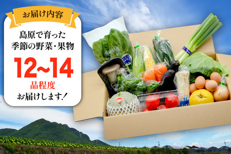 BF058 【6回定期便】旬の野菜・フルーツ (12～14品目)・卵 (6個) おまかせ セット[ 長崎県 島原市 ]