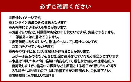 ニュー ピオーネ 2房（1房 500g前後）【2026年7月下旬-9月下旬 発送予定】【産地直送 岡山県産 国産 ニューピオーネ ブドウ 葡萄 ぶどう 果物 ギフト たけまさぶどう園 人気フルーツ 岡山フルーツ おすすめフルーツ 岡山県 倉敷市 おすすめ 人気】