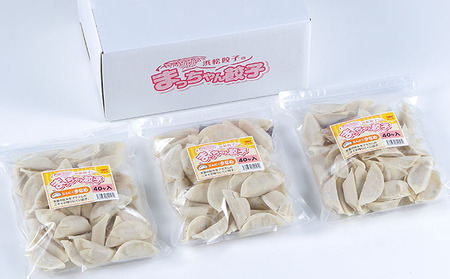 浜松餃子のまっちゃん餃子にんにく少なめ餃子40ヶ入り×3袋　計120ヶセット【配送不可：沖縄県・離島】 加工品 惣菜 冷凍 ぎょうざ 