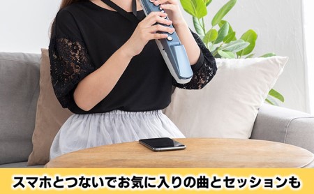 【Roland】ウインドシンセサイザー/エアロフォンミニ【配送不可：離島】 楽器 管楽器 