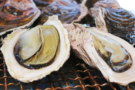 【期間限定発送】岩牡蠣 殻付き 細島 岩ガキ 約3kg 日向特産 へべす 400g セット [道の駅日向 宮崎県 日向市 452061390]