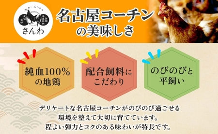 三和の純鶏 名古屋コーチン 味噌漬 米こうじ味噌 4袋 鶏肉 とり肉 小分け お肉 国産 ムネ 味付け肉 味付き 簡単調理 みそ 夕食 おかず おつまみ ご当地 グルメ ギフト 贈り物 送料無料 愛知県 あま市