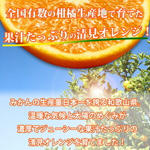 G7066_【2027年先行予約】とにかくジューシー 清見 オレンジ 5kg
