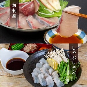 【 刺身 】 刺身定期便 6回