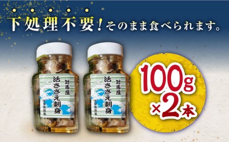 対馬産 活サザエ 刺身 100g×2本 [WAA008] さざえ 貝