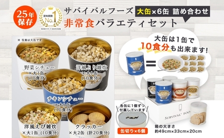 賞味期限25年 非常食 バラエティセット 大缶6缶 詰合せ 約60食分 缶切り付 サバイバルフーズ クラッカー シチュー 雑炊 美味しい 常温保存 防災 非常用 非常用食品 災害食 防災グッズ 災害対策 フリーズドライ 送料無料 セイエンタプライズ 愛知県 あま市