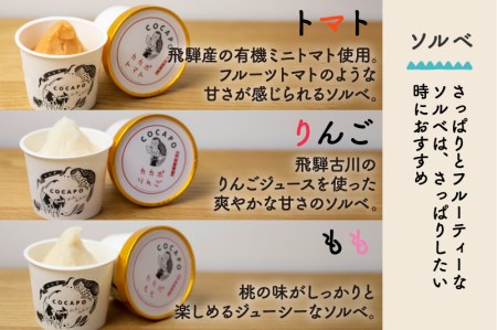 飛騨のジェラート＆ソルベ 8個詰合せ 野菜 カカポ ジェラート