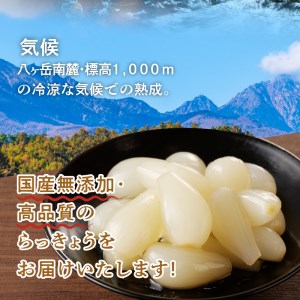 食べきりサイズ 色白美人らっきょう 国産無添加 80g×6袋　ラッキョウ 食べきりサイズ 480g おつまみ ご飯のおとも お酒のお供 野菜 旬 漬物 つけもの お漬物 常温保存 山梨県 北杜市 [h138]