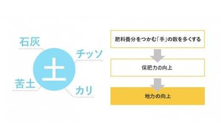 【白米】《定期便》 10kg (5kg袋小分け) ×7回 令和7年産 ひとめぼれ 土作り実証米 合計70kg 秋田県産