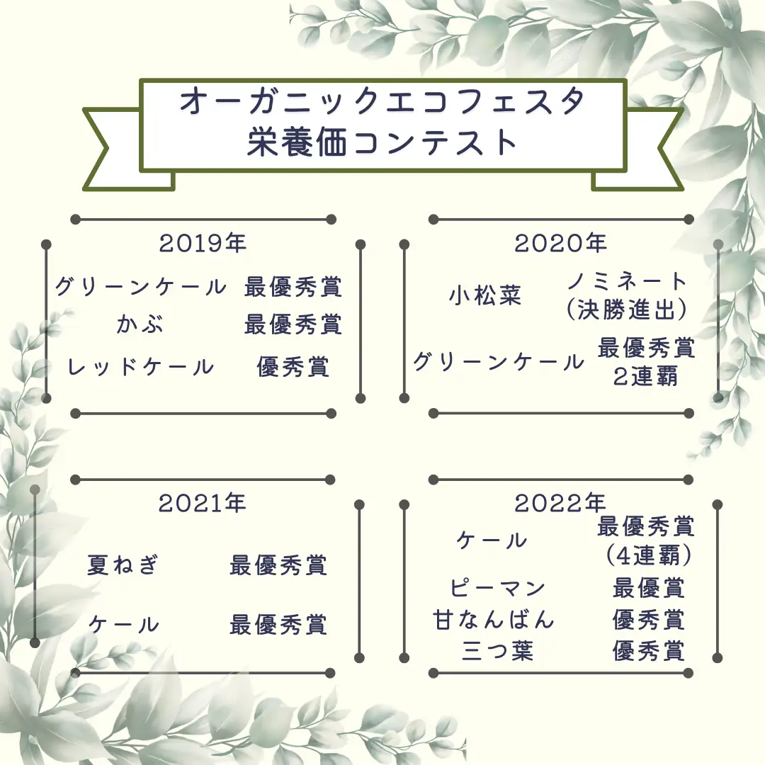 【先行受付】有機野菜ちいさな畑セット（Lサイズ　３～４人前）有機野菜［NK-102］