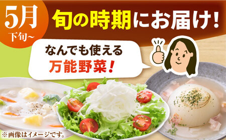 【先行予約】農家直送 玉ねぎ 約10kg / 玉ねぎ [IAO001]