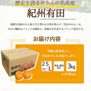 BF6031n_【2026年先行予約】 期間限定 有田みかん 約 3kg 2S～Lサイズ サイズ混合 30個 前後 秀品 優品 紀州 有田 みかん 温州みかん フルーツ 果実 甘み 酸味 絶妙 バランス 果物 柑橘 国産 食品 食べ物 マルシ農園 お取り寄せ 和歌山県 湯浅町 送料無料