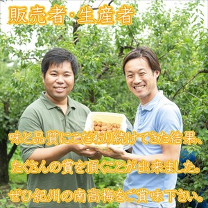 【8019-3】御坊市　紀州南高梅1.5kgの定期便（春・夏・秋・冬）4回