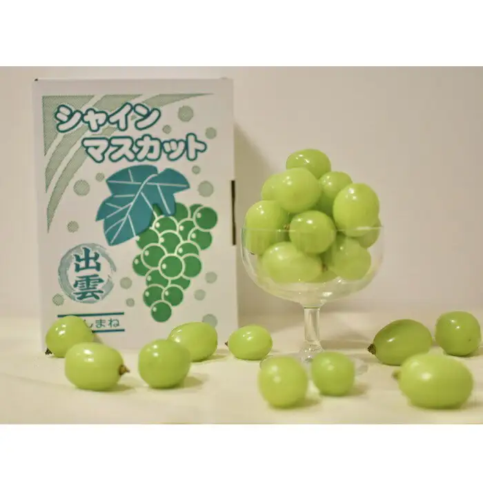 【2026年7月下旬以降発送】いずもぶどう 訳ありシャインマスカット（粒っこ）1kg見当 新鮮 甘い フルーツ 果物