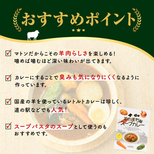 【A7034】羊のまちのスープカレー (3袋) カレー レトルト 常温 羊肉 サフォーク サフォーク羊 レトルトカレー【サフォーク】