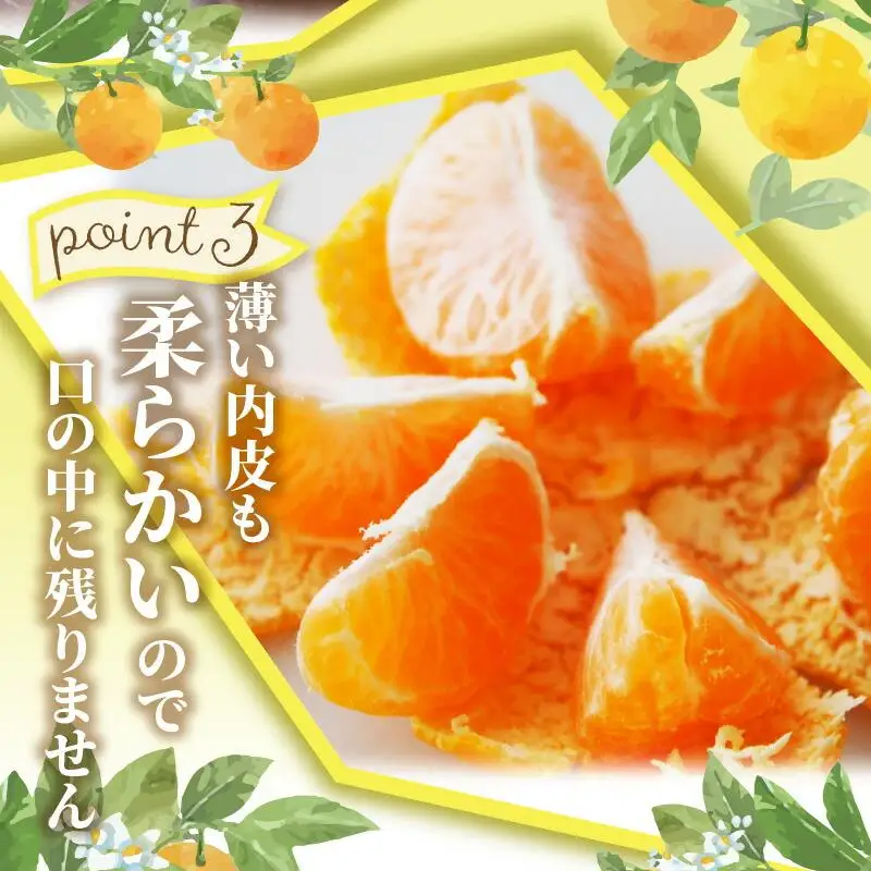 ハウスせとか　約2.8kg【2027年1月下旬～2027年2月下旬配送】