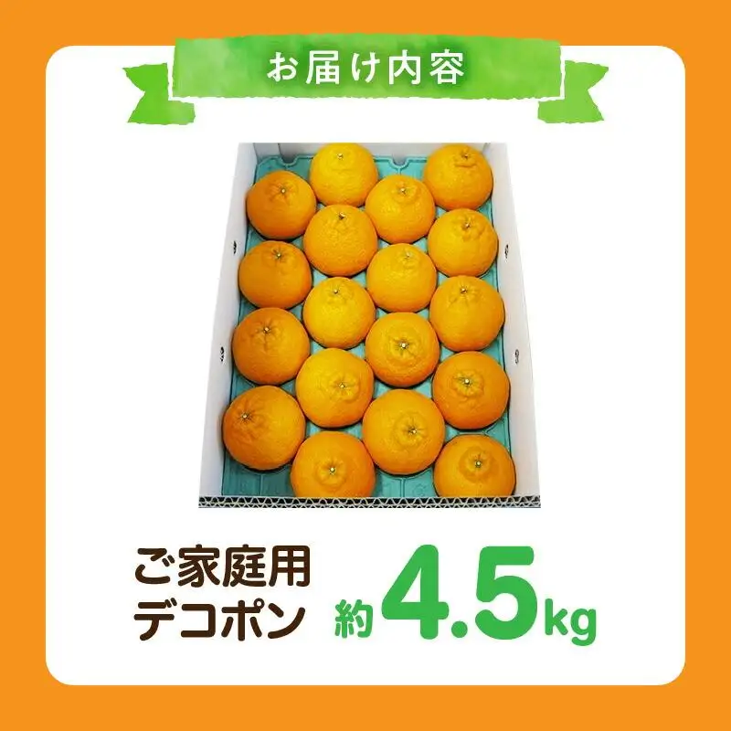 高松産季節の果物＜ご家庭用　デコポン＞約4.5kg【2027年2月下旬～2027年4月上旬配送】