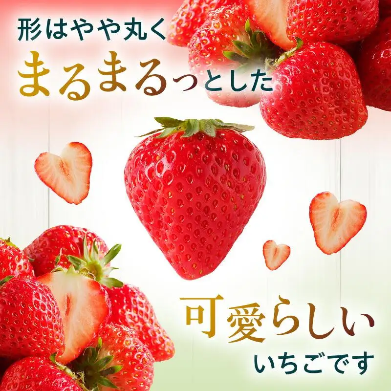 さぬきひめいちご化粧箱　2箱(各約400g)【2027年1月上旬～2027年4月下旬配送】