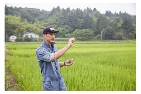 【令和7年産米】新潟県柏崎産 コシヒカリ 無洗米 5kg 荒塩米 [Y0074]