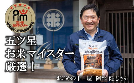 令和7年産米【五ツ星お米マイスター厳選・3ヶ月定期便】新之助 白米 5kg×3回（計 15kg）[Y0589]