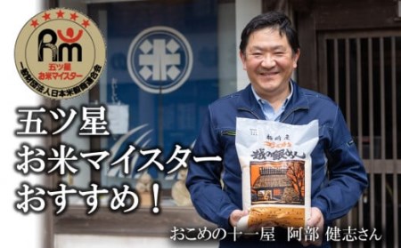 令和7年産米【五ツ星お米マイスター厳選】新之助 白米 6kg（2kg×3袋）[Y0423]