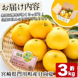 日向夏(約3kg) 柑橘 果物 数量限定 期間限定 国産 フルーツ 常温 保存 遠見半島 【AE-13】【勝農園】