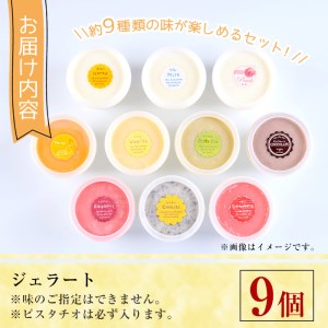 【I-2】＜先行予約受付中！2026年5月から順次発送予定＞自家製こだわり製法！自家製ジェラート(9個)【ミツル・プラス】