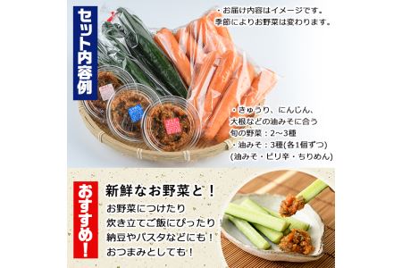 野菜と油みそのセット(旬の野菜2～3種×油みそ3種(ちりめん・油みそ・ピリ辛)各1個)野菜 調味料 味噌 おつまみ トッピング 冷蔵【G-7】【旬鮮かどがわ直売センター】