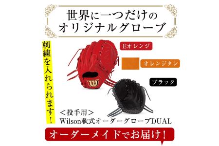 ＼メジャーリーガーも愛用するWilson社グローブ！／＜軟式・投手用DUAL＞日本製野球グローブ Wilson軟式オーダーグローブ(1個) 阿久根市 特産品 デュアル スポーツ グラブ 袋付 箱入り オーダー 野球【アクネスポーツ】akn021-01