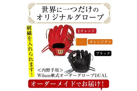＼メジャーリーガーも愛用するWilson社グローブ！／＜軟式・内野手用DUAL＞日本製野球グローブ Wilson軟式オーダーグローブ(1個) 阿久根市 特産品 デュアル スポーツ グラブ 袋付 箱入り オーダー 野球【アクネスポーツ】akn021-02