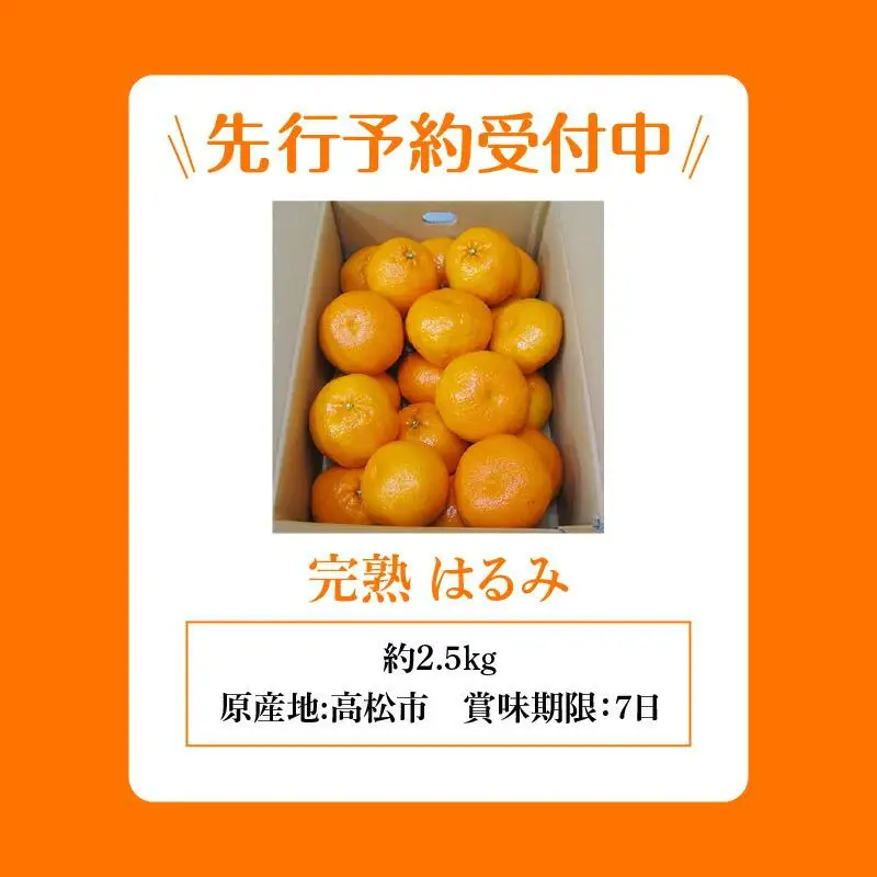 完熟 はるみ 約2.5kg【2027-2月下旬～2027-3月下旬配送】