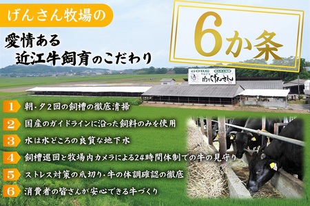 近江牛A5ランクサーロインステーキ 200ｇ×2枚 近江牛