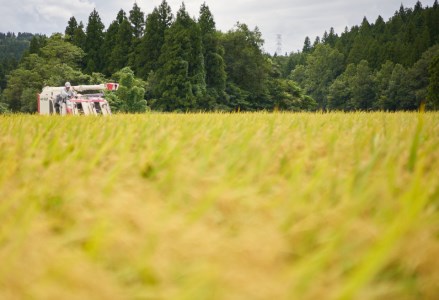 【令和7年産】【3か月定期便】コシヒカリ「やまびこ米」2kg×3回 玄米黒酢農法 金賞受賞 特別栽培米 白米 精米 農家直送 新潟県 米 こめ コメ 1P07021