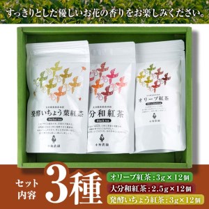 紅茶 ティーバッグ 3種セット (オリーブ紅茶、和紅茶、発酵いちょう葉紅茶・各12個) お茶 紅茶 茶 茶葉 セット 詰め合わせ 大分県 佐伯市【ES04】【小野農園】