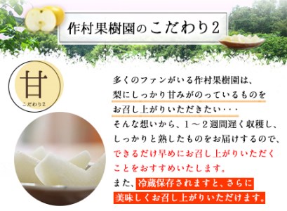 【先行予約】梨 あきづき 約5kg 梨