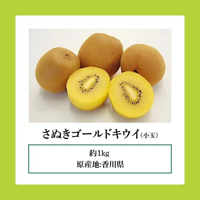 訳あり ご家庭用 さぬきゴールドキウイ (小玉) 約1kg【2026年10月中旬～2027年1月下旬配送】