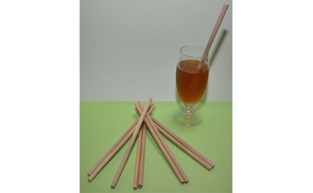 ＜京都産竹使用＞ 竹のバランストンボ1匹ver(大) リラックスインテリア 竹ストロー5本付き 竹 トンボ とんぼ インテリア 置物 置き物 飾り物 装飾品 雑貨 飾り 装飾 インタリア雑貨 手作り 竹ストロー ストロー エコストロー マイストロー 日用品　019-07