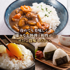 S061-T05A_【3ヶ月定期便】特別栽培米 天草五ッ星米 精米 5kg